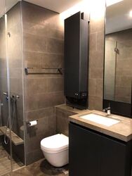 Skysuites@Anson (D2), Apartment #529279321
